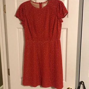 LOFT floral lace dresses